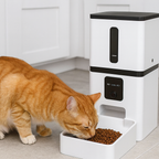 Dispenser automatico di cibo con videocamera e controllo remoto - PotFood