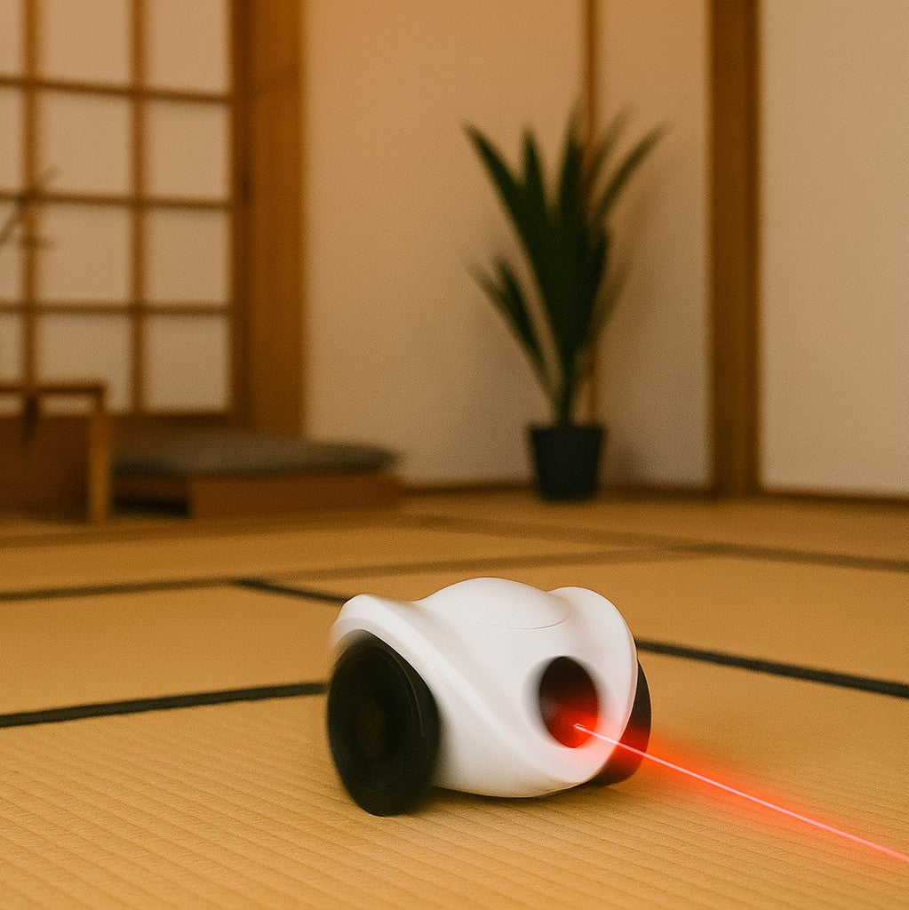 Robot di sorveglianza con videocamera e controllo remoto - PotBot